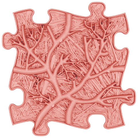 Set of orthopedic mats - Rainbow Pastel