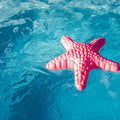 Balancing Stone MUFFIK - Starfish in use