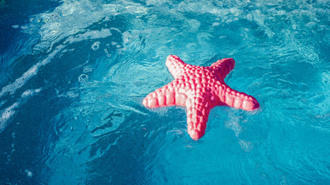 Balancing Stone MUFFIK - Starfish in use