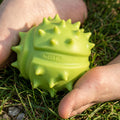 MUFFIK Set of Sensory Balls (2 pcs) - Chestnuts