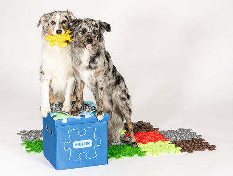 MUFFIK orthopedic mats help not only us, but also our four-legged friends